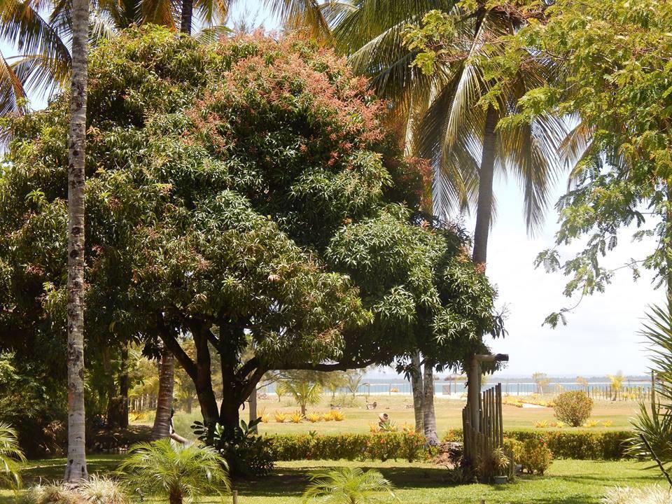 Pousada Aguazul Marau (Bahia) Ngoại thất bức ảnh